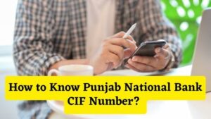 How to Know Punjab National Bank CIF Number