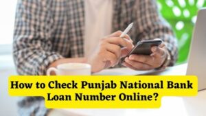 How to Check Punjab National Bank Loan Number