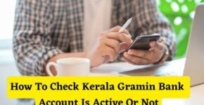 How To Check Kerala Gramin Bank Account Is Active Or Not