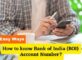 How to know BOI Bank Account Number