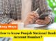 How to know Punjab National Bank Account Number