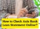 How to Check Axis Bank Loan Statement Online