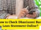 How to Check Dhanlaxmi Bank Loan Statement Online
