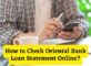 How to Check Oriental Bank Loan Statement Online