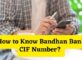 How to Know Bandhan Bank CIF Number