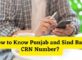 How to Know Punjab and Sind Bank CRN Number