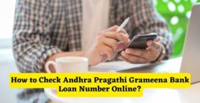 How to Check Andhra Pragathi Grameena Bank Loan Number Online