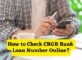 How to Check CRGB Bank Loan Number Online