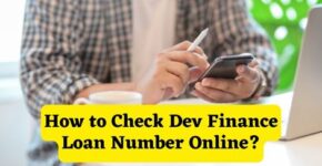 How to Check Dev Finance Loan Number Online