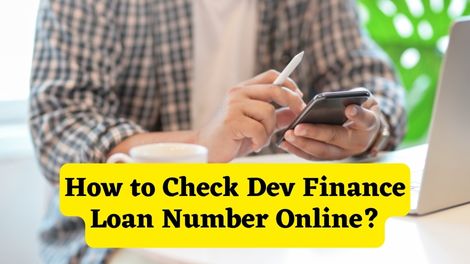 How to Check Dev Finance Loan Number Online