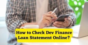 How to Check Dev Finance Loan Statement Online