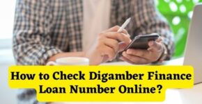 How to Check Digamber Finance Loan Number Online