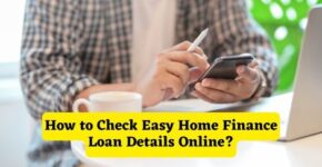 How to Check Easy Home Finance Loan Details Online