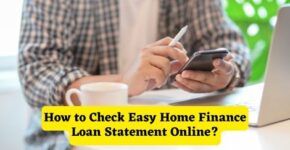 How to Check Easy Home Finance Loan Statement Online