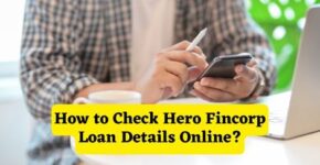 How to Check Hero Fincorp Loan Details Online