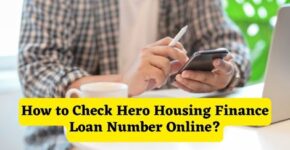 How to Check Hero Housing Finance Loan Number Online