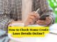 How to Check Home Credit Loan Details Online