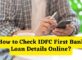 How to Check IDFC First Bank Loan Details Online