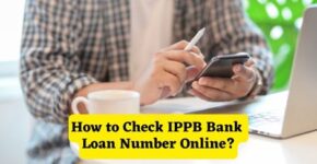 How to Check IPPB Bank Loan Number Online