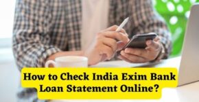 How to Check India Exim Bank Loan Statement Online