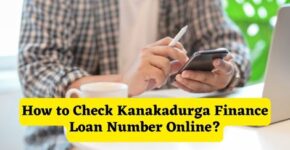 How to Check Kanakadurga Finance Loan Number Online