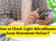 How to Check Light Microfinance Loan Statement Online