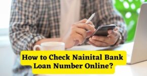 How to Check Nainital Bank Loan Number Online