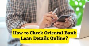 How to Check Oriental Bank Loan Details Online