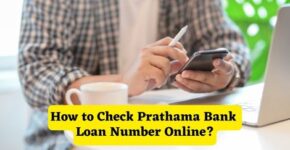 How to Check Prathama Bank Loan Number Online
