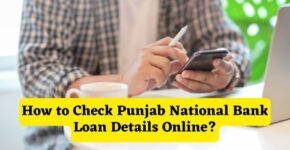 How to Check Punjab National Bank Loan Details