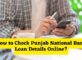 How to Check Punjab National Bank Loan Details