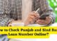 How to Check Punjab and Sind Bank Loan Number