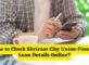 How to Check Shriram City Union Finance Loan Details