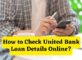 How to Check United Bank Loan Details Online
