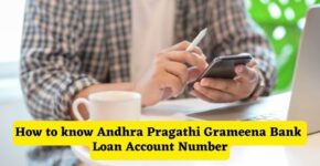 How to know Andhra Pragathi Grameena Bank Loan Account Number