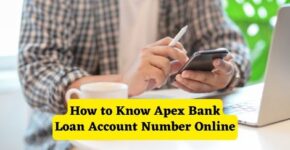 How to know Apex Bank Loan Account Number