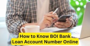 How to know BOI Bank Loan Account Number