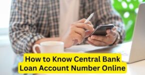 How to know Central Bank Loan Account Number