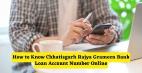 How to know Chhatisgarh Rajya Grameen Bank Loan Account Number