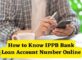 How to know IPPB Bank Loan Account Number