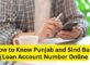 How to know Punjab and Sind Bank Loan Account Number