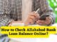 How to Check Allahabad Bank Loan Balance Online