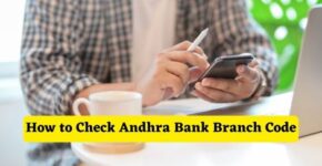 How to Check Andhra Bank Branch Code Online