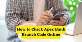 How to Check Apex Bank Branch Code Online