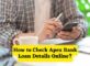 How to Check Apex Bank Loan Details Online