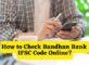 How to Check Bandhan Bank IFSC Code Online