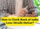 How to Check Bank of India Loan Details Online