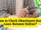 How to Check Dhanlaxmi Bank Loan Balance Online