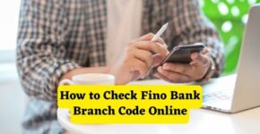 How to Check Fino Bank Branch Code Online