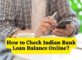 How to Check Indian Bank Loan Balance Online